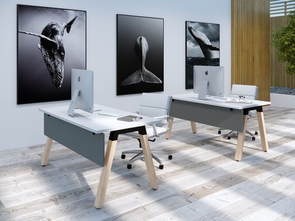 Direct Ergonomics Vista Workstation Boutique Office Scene