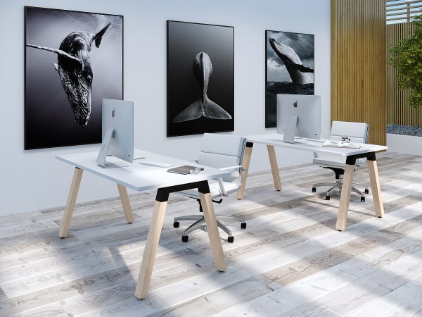 Direct Ergonomics Vista Workstation Boutique Office Scene