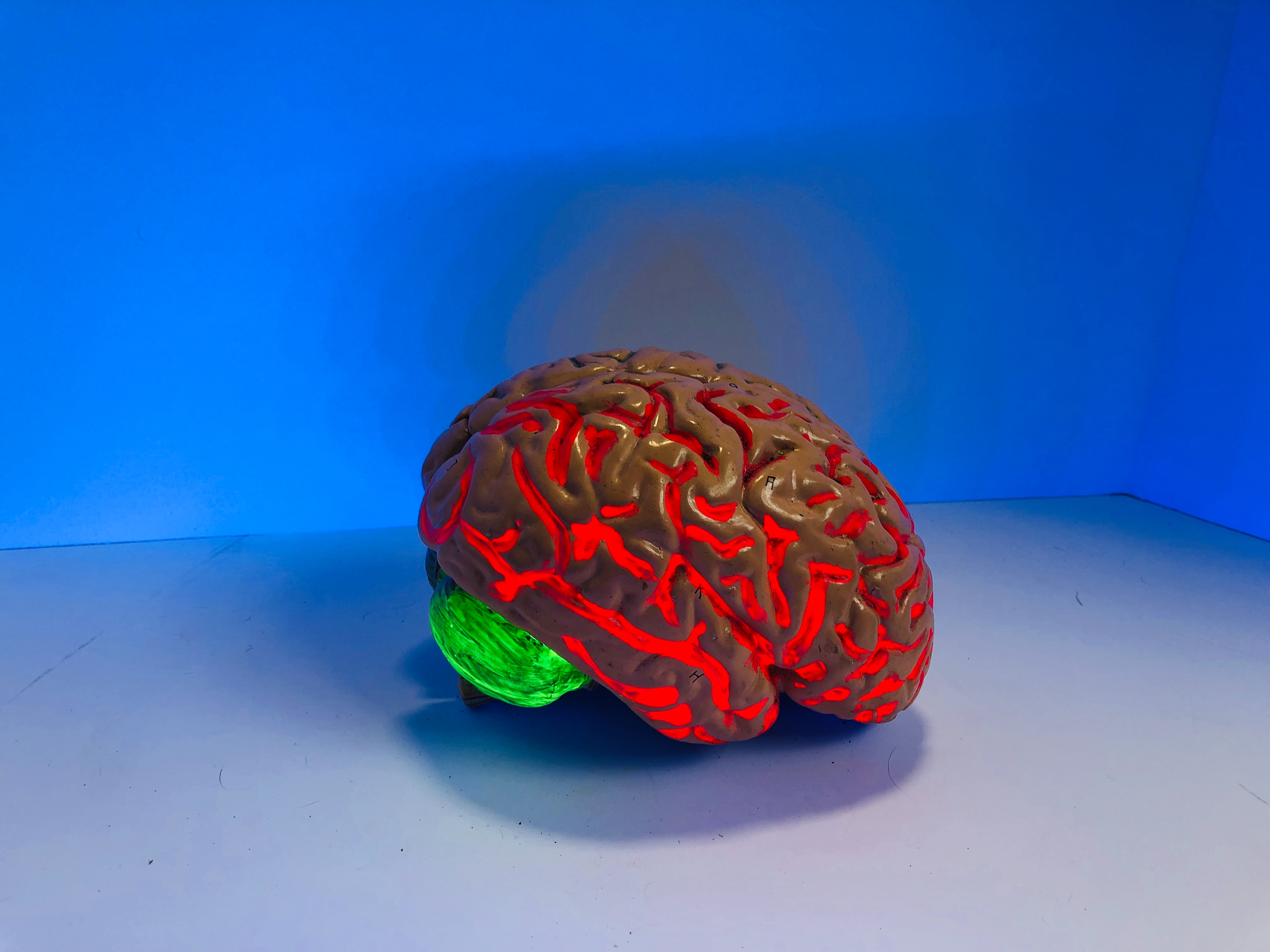 How Cognitive Bias Impacts Workplace Safety