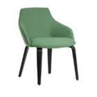 Goldy Chair Family - Timber 4 Leg - Black - Green - Angled