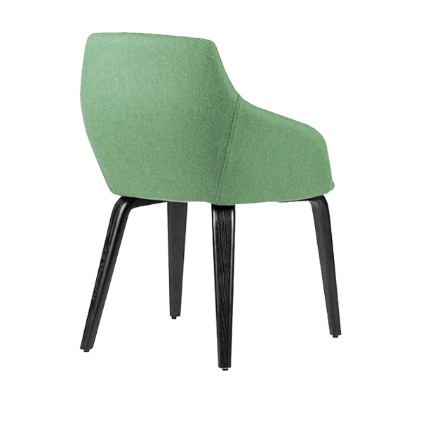 Goldy Chair Family - Timber 4 Leg - Black - Green - Back Angled