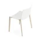 Canvas Chair Family - Canvas 2 - Timber 4 Leg PP